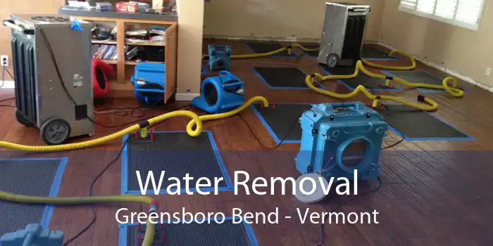 Water Removal Greensboro Bend - Vermont