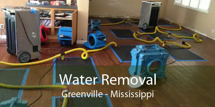 Water Removal Greenville - Mississippi