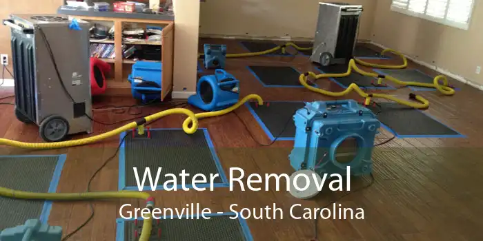 Water Removal Greenville - South Carolina