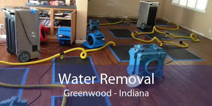 Water Removal Greenwood - Indiana