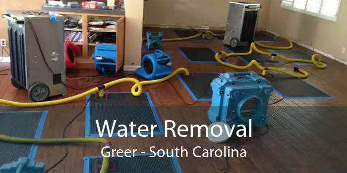 Water Removal Greer - South Carolina