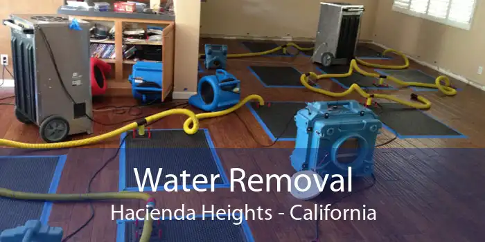 Water Removal Hacienda Heights - California