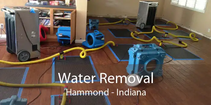 Water Removal Hammond - Indiana