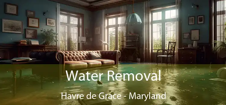 Water Removal Havre de Grace - Maryland