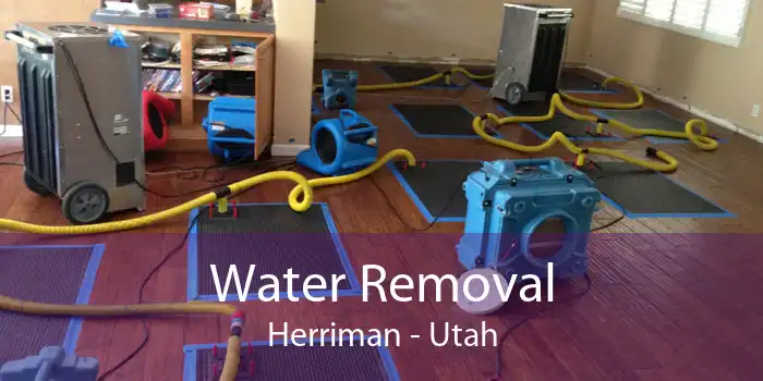 Water Removal Herriman - Utah