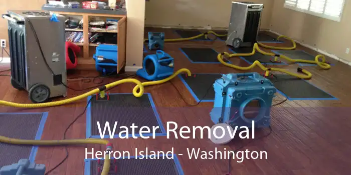 Water Removal Herron Island - Washington