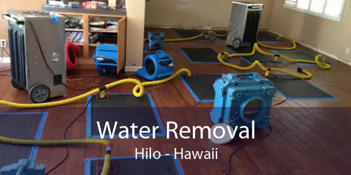 Water Removal Hilo - Hawaii
