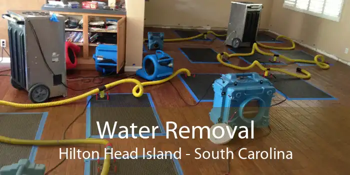 Water Removal Hilton Head Island - South Carolina