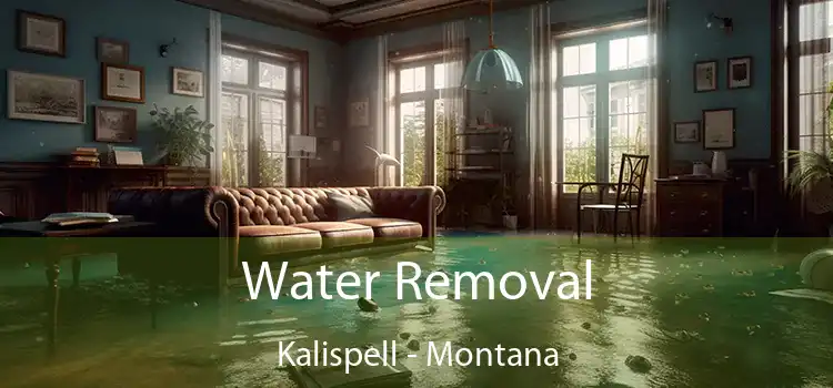 Water Removal Kalispell - Montana