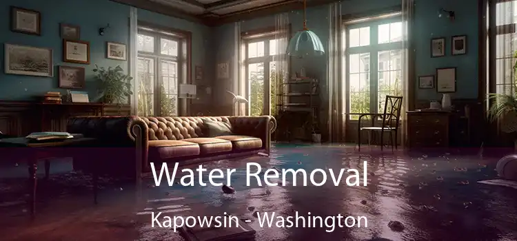 Water Removal Kapowsin - Washington