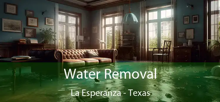 Water Removal La Esperanza - Texas