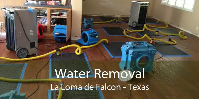 Water Removal La Loma de Falcon - Texas