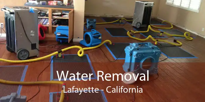 Water Removal Lafayette - California