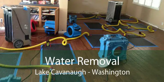 Water Removal Lake Cavanaugh - Washington