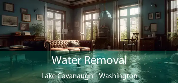 Water Removal Lake Cavanaugh - Washington