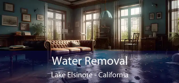 Water Removal Lake Elsinore - California