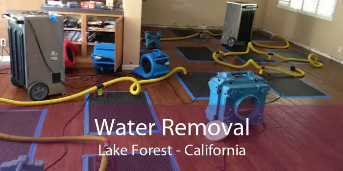 Water Removal Lake Forest - California