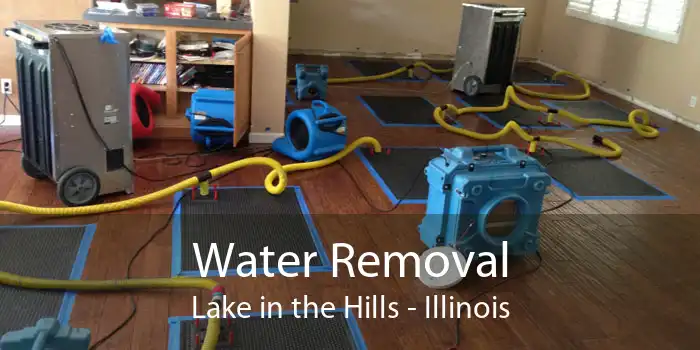 Water Removal Lake in the Hills - Illinois