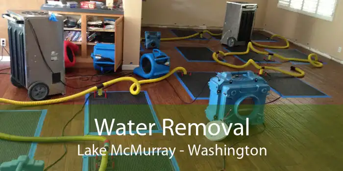 Water Removal Lake McMurray - Washington