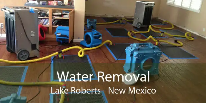 Water Removal Lake Roberts - New Mexico