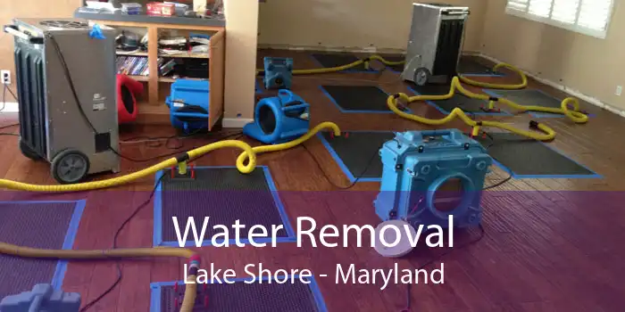 Water Removal Lake Shore - Maryland