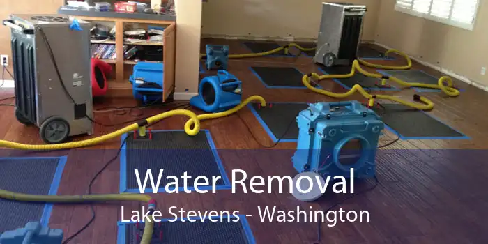 Water Removal Lake Stevens - Washington