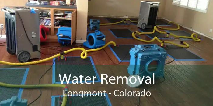 Water Removal Longmont - Colorado