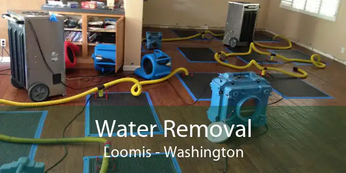 Water Removal Loomis - Washington