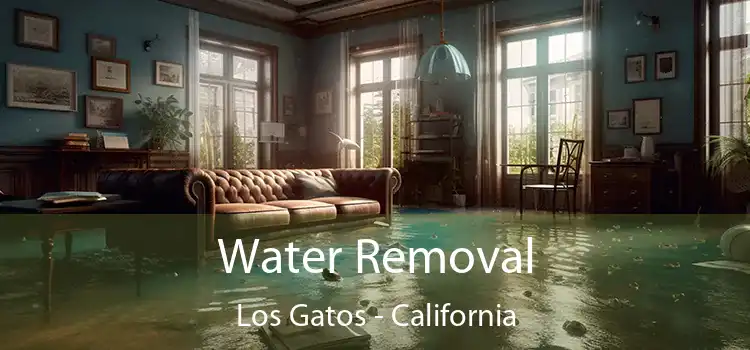 Water Removal Los Gatos - California