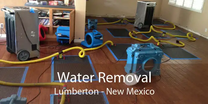 Water Removal Lumberton - New Mexico
