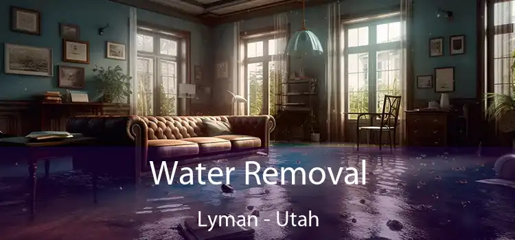 Water Removal Lyman - Utah