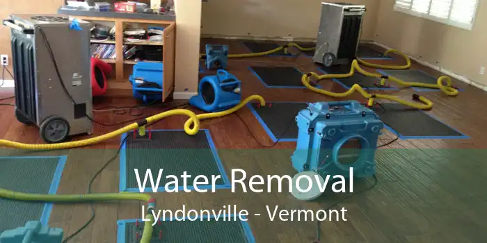 Water Removal Lyndonville - Vermont