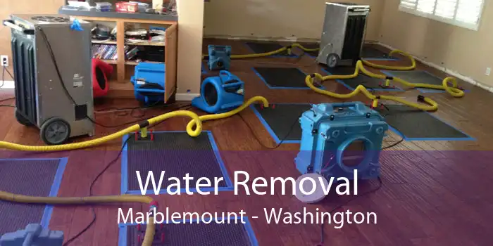 Water Removal Marblemount - Washington