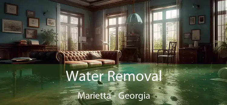 Water Removal Marietta - Georgia