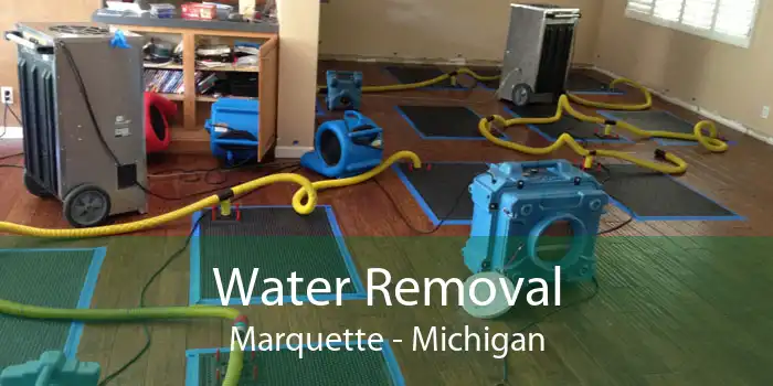 Water Removal Marquette - Michigan