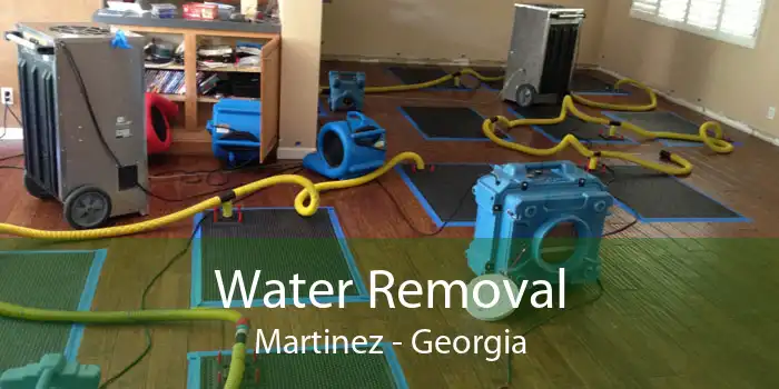 Water Removal Martinez - Georgia