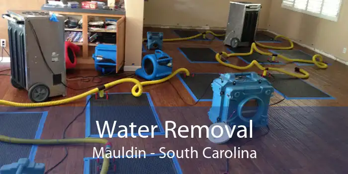 Water Removal Mauldin - South Carolina
