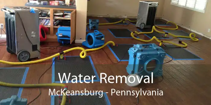 Water Removal McKeansburg - Pennsylvania