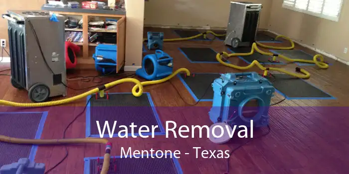 Water Removal Mentone - Texas