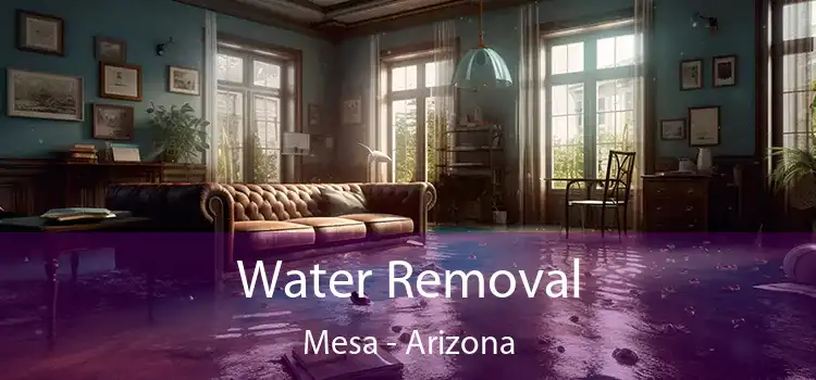 Water Removal Mesa - Arizona