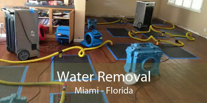 Water Removal Miami - Florida