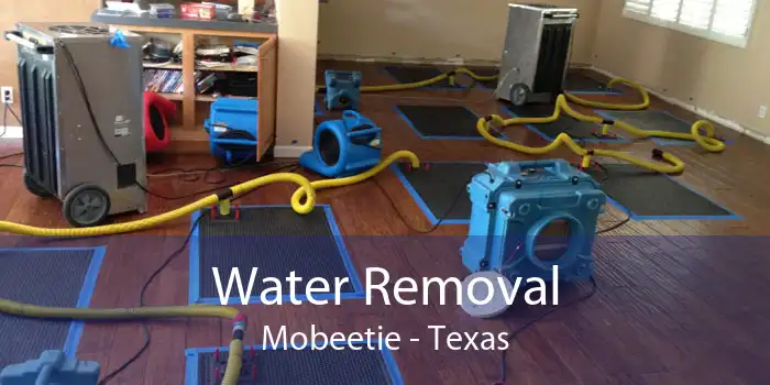 Water Removal Mobeetie - Texas