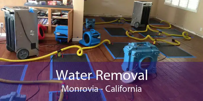 Water Removal Monrovia - California