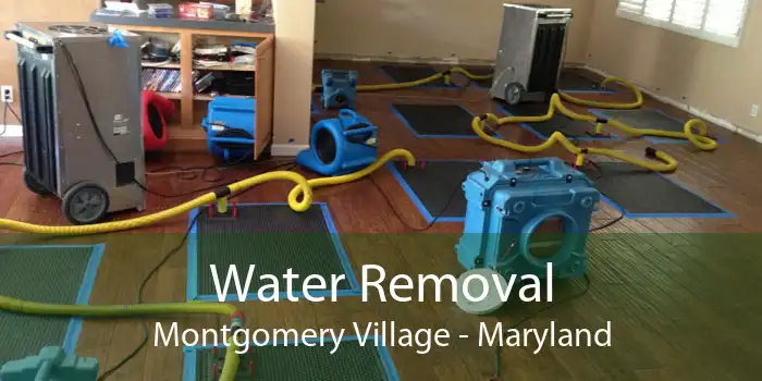 Water Removal Montgomery Village - Maryland