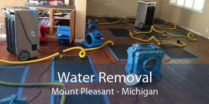 Water Removal Mount Pleasant - Michigan