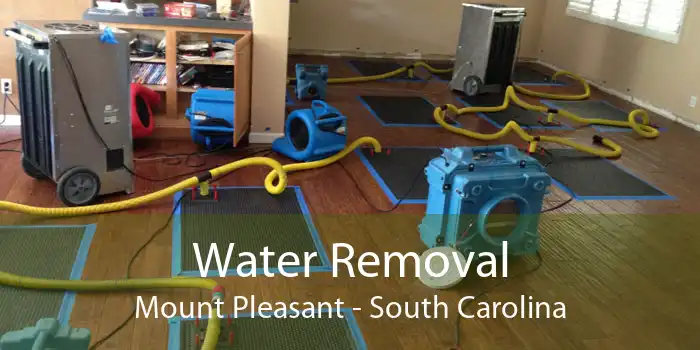 Water Removal Mount Pleasant - South Carolina