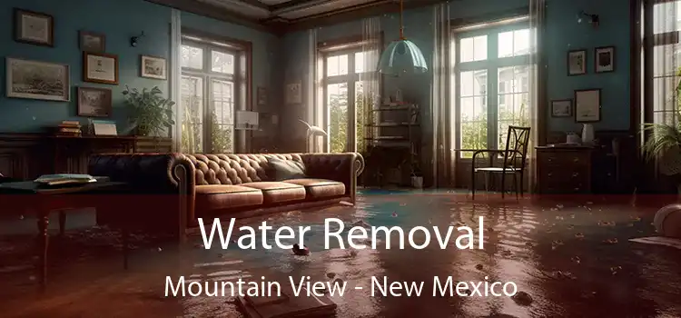 Water Removal Mountain View - New Mexico