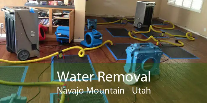 Water Removal Navajo Mountain - Utah