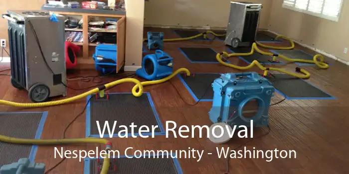 Water Removal Nespelem Community - Washington