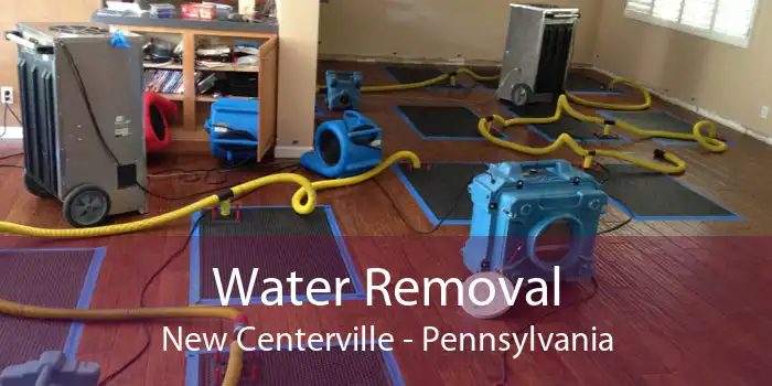 Water Removal New Centerville - Pennsylvania